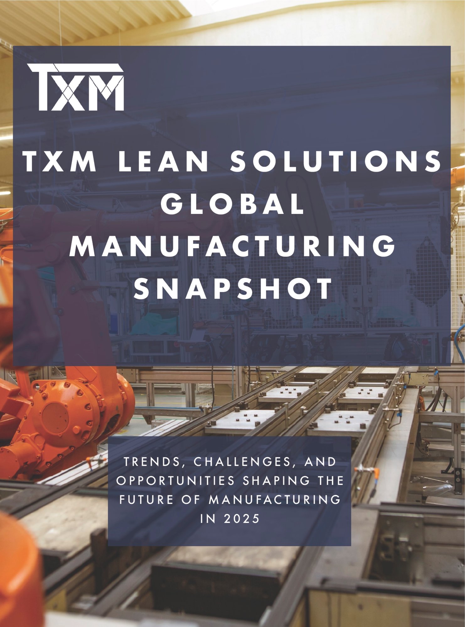 TXM Manufacturing Global Snapshot v2Report