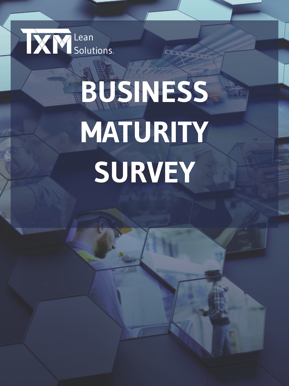 Business Maturity Survey